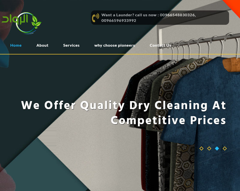 PIONEERS LAUNDRIES